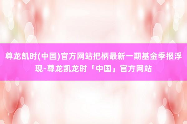 尊龙凯时(中国)官方网站把柄最新一期基金季报浮现-尊龙凯龙时「中国」官方网站